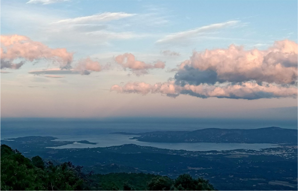 Le Restaurant - A Tigliola Le Nid D'Aigle - restaurant PORTO-VECCHIO - Restaurant Pizza Porto-Vecchio